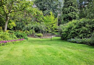 Optimiser l'expérience du jardin à Louvaines